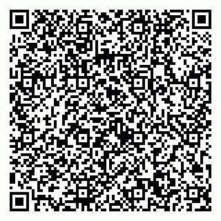 vCard 79193600020