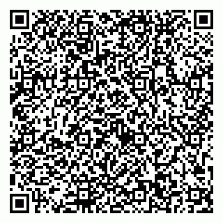 vCard 79193600031