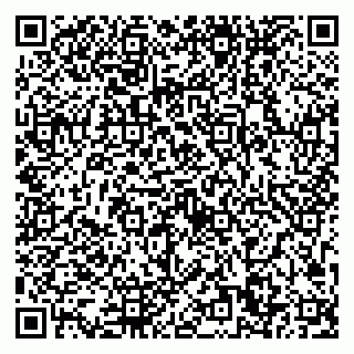 vCard 79193600278