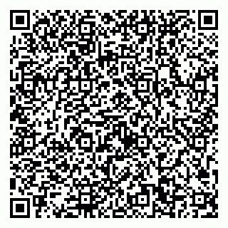 vCard 79193600339