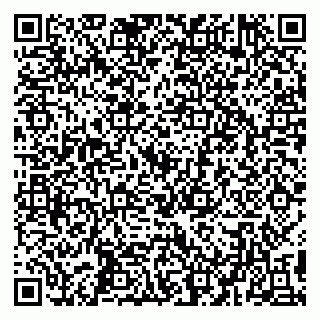 vCard 79194100003