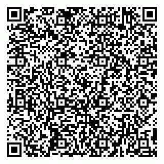vCard 79194100013
