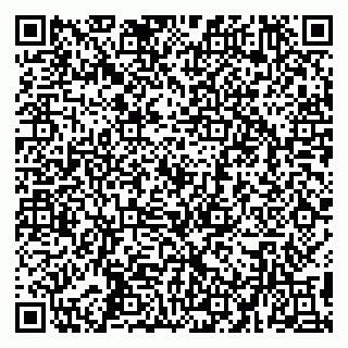 vCard 79194100017