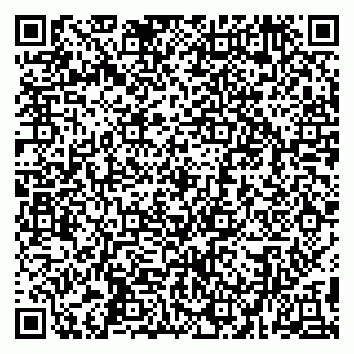 vCard 79194100019