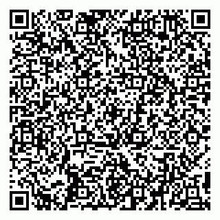 vCard 79194100020