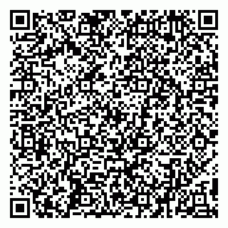 vCard 79194100029