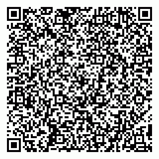 vCard 79194100041
