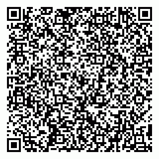 vCard 79194100063
