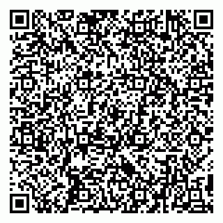 vCard 79194100073