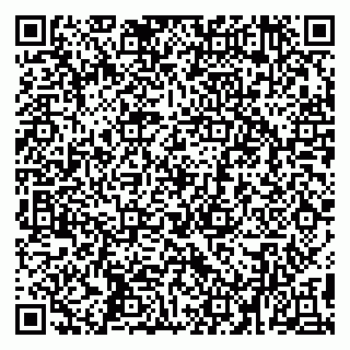 vCard 79194100131