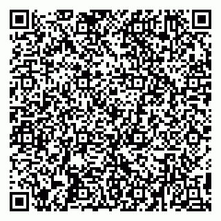 vCard 79194100132