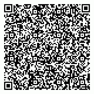 vCard 79194100135