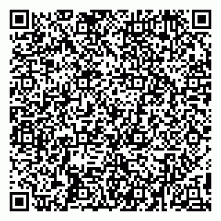 vCard 79194100139