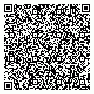 vCard 79194100163