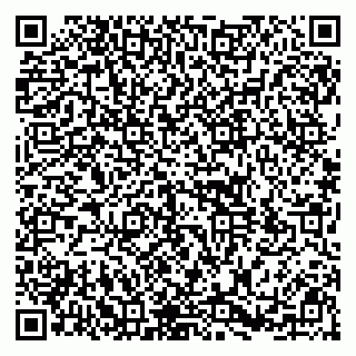 vCard 79194100173