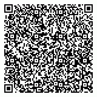 vCard 79194100207