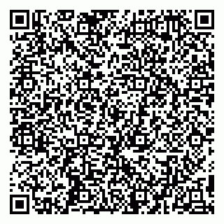 vCard 79194100208