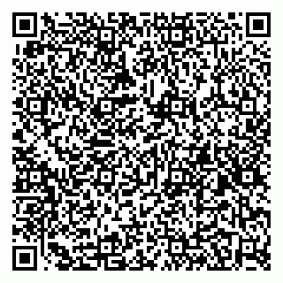 vCard 79194100211