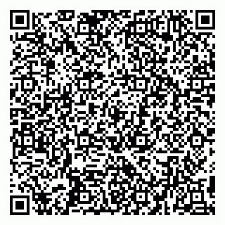 vCard 79194100214