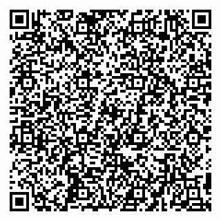 vCard 79194100217