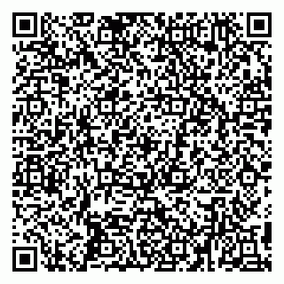 vCard 79194100234