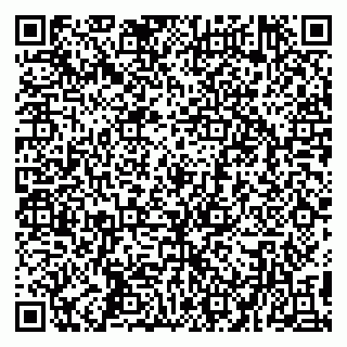 vCard 79194100253
