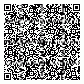 vCard 79194100263