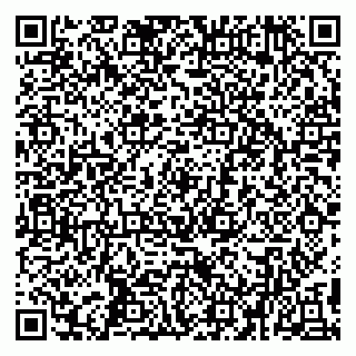 vCard 79194100271