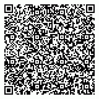 vCard 79194100273