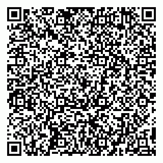 vCard 79194100281