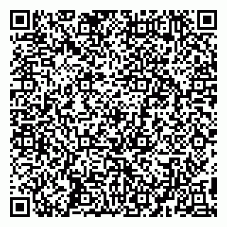 vCard 79194100285