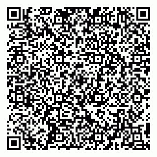 vCard 79194100287