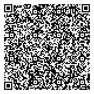 vCard 79194100288