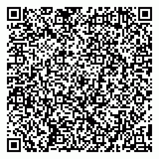 vCard 79194100291