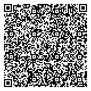 vCard 79194100293