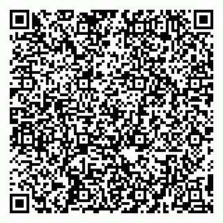 vCard 79194100295