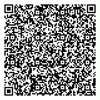 vCard 79194100298