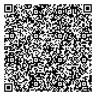 vCard 79194100299