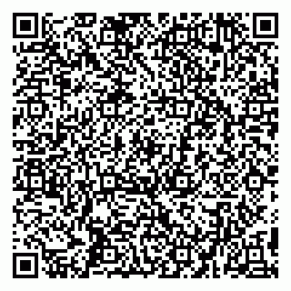 vCard 79194100311