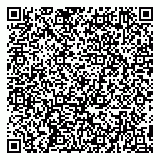 vCard 79194100312