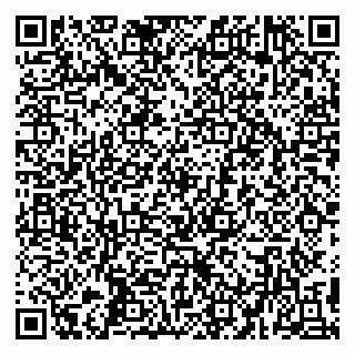 vCard 79194100313