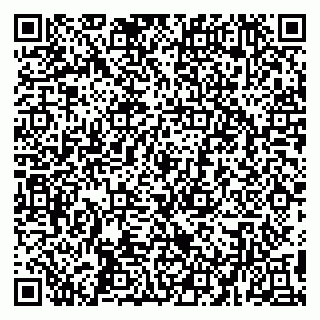 vCard 79194100315