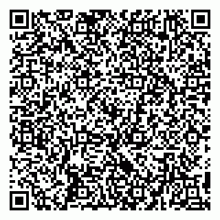vCard 79194100316