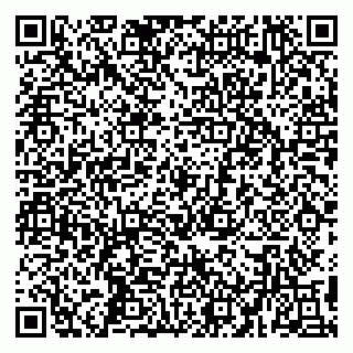 vCard 79194100317