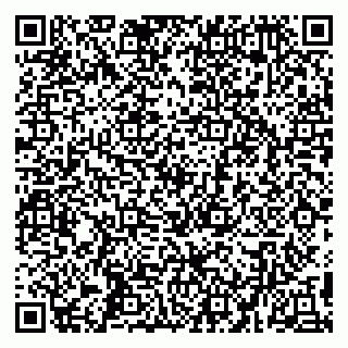 vCard 79194100318