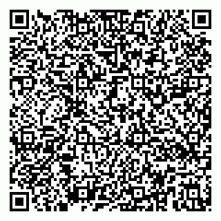 vCard 79194100329