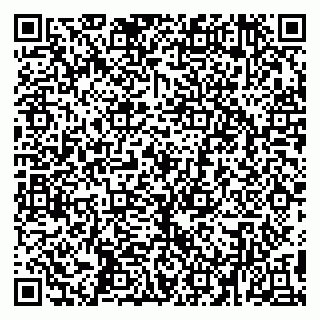 vCard 79194100331