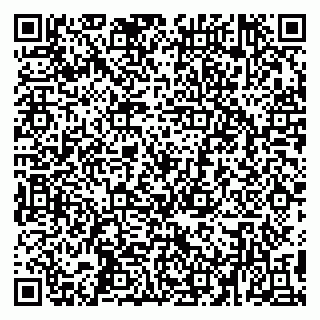 vCard 79194100333
