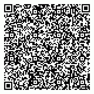 vCard 79194100334