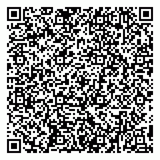 vCard 79194100335